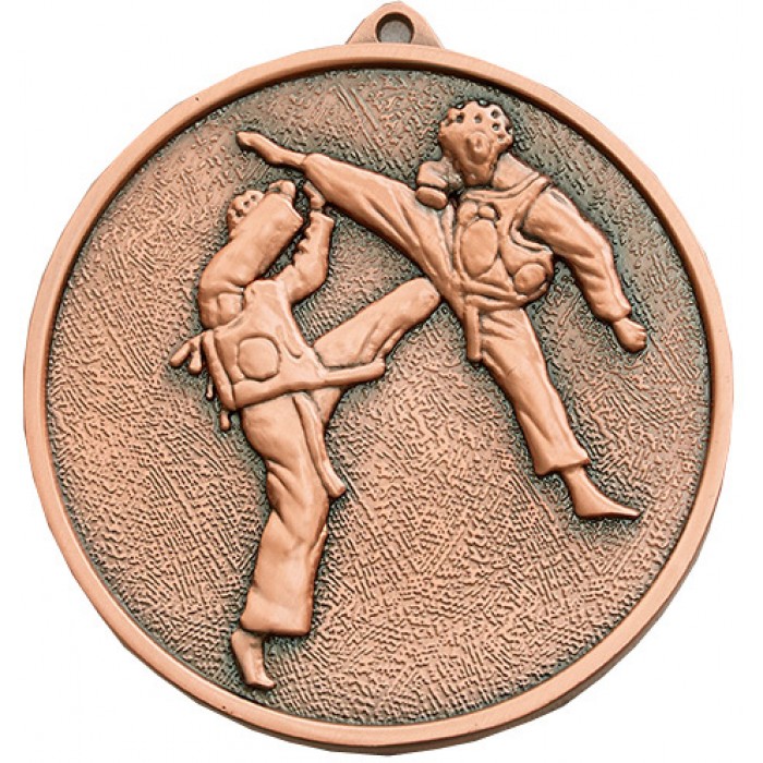 BRONZE BODY ARMOUR FIGHTERS MEDAL (70MM X 6MM THICK)